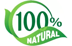 CogniCarePro Natural Ingredients